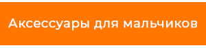 аксессуарыдлямальчиков.png